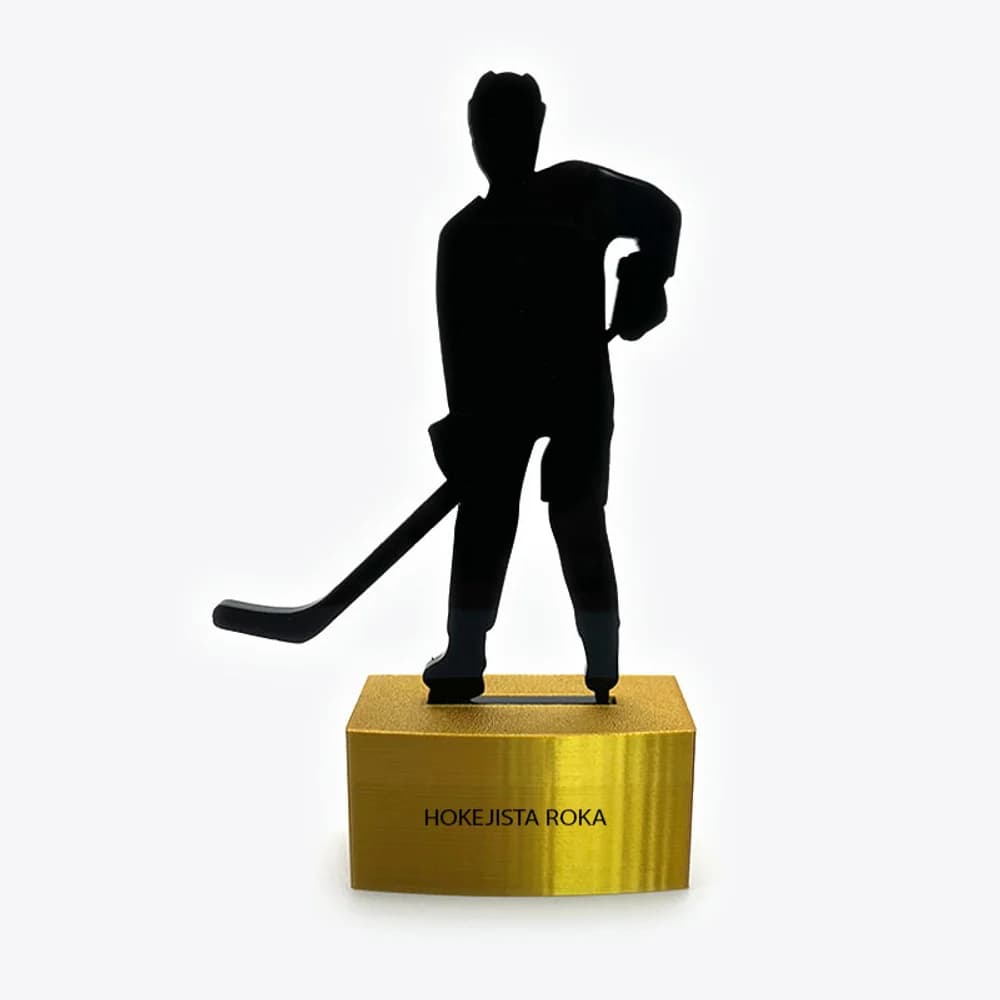 Sportovní trofeje - hokej